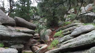 Scenic View in the Hualapai Mountains