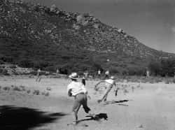 Employees playing baseball at Hualapai Mountain Park Rec. 1