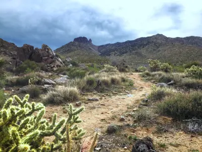 Dolan Springs Trail